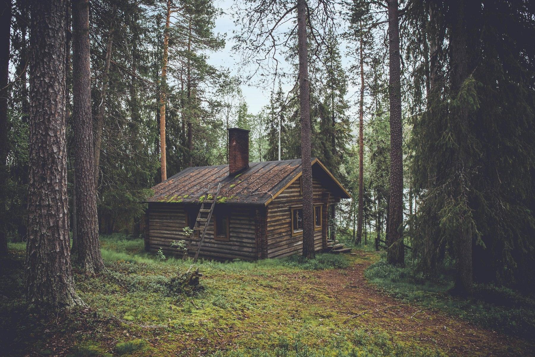Участок в лесу